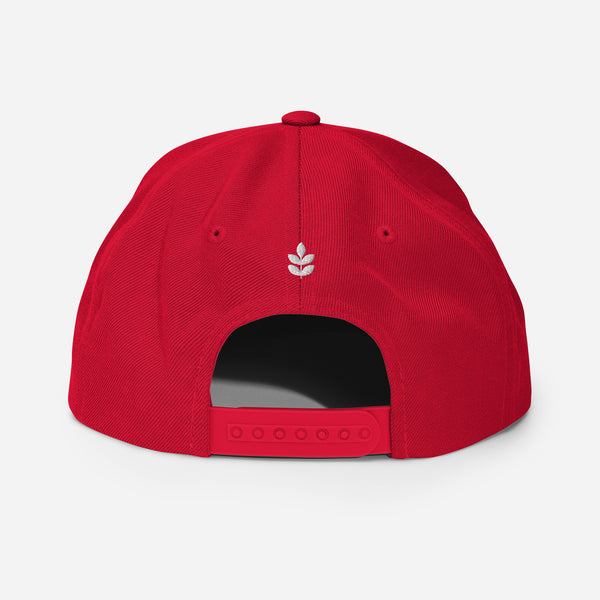 Gorra Snapback Les Rouges